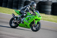 PJ-Motorsport-2019;anglesey-no-limits-trackday;anglesey-photographs;anglesey-trackday-photographs;enduro-digital-images;event-digital-images;eventdigitalimages;no-limits-trackdays;peter-wileman-photography;racing-digital-images;trac-mon;trackday-digital-images;trackday-photos;ty-croes